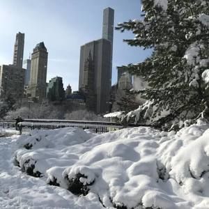 Meet your Posher, Mario